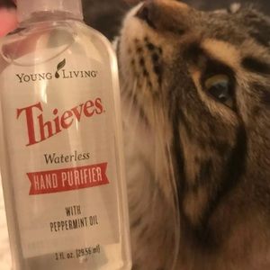 Young Living Thieves Hand Purifier